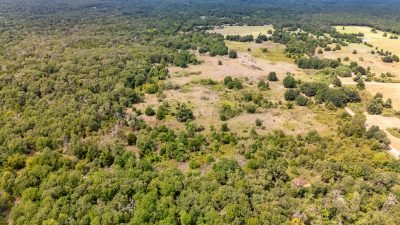How to Buy Land in Texas: A Step-by-Step Guide for Success