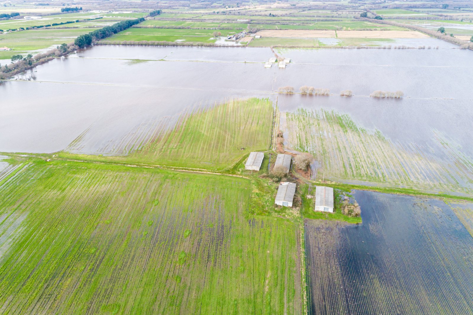 Making the Most of Floodplain Areas on Texas Ranches