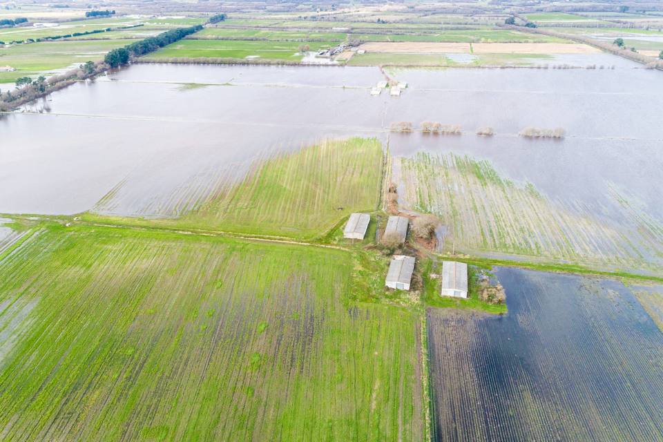 Making the Most of Floodplain Areas on Texas Ranches