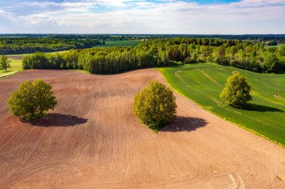 Understanding Eminent Domain in Texas: A Property Owner’s Guide