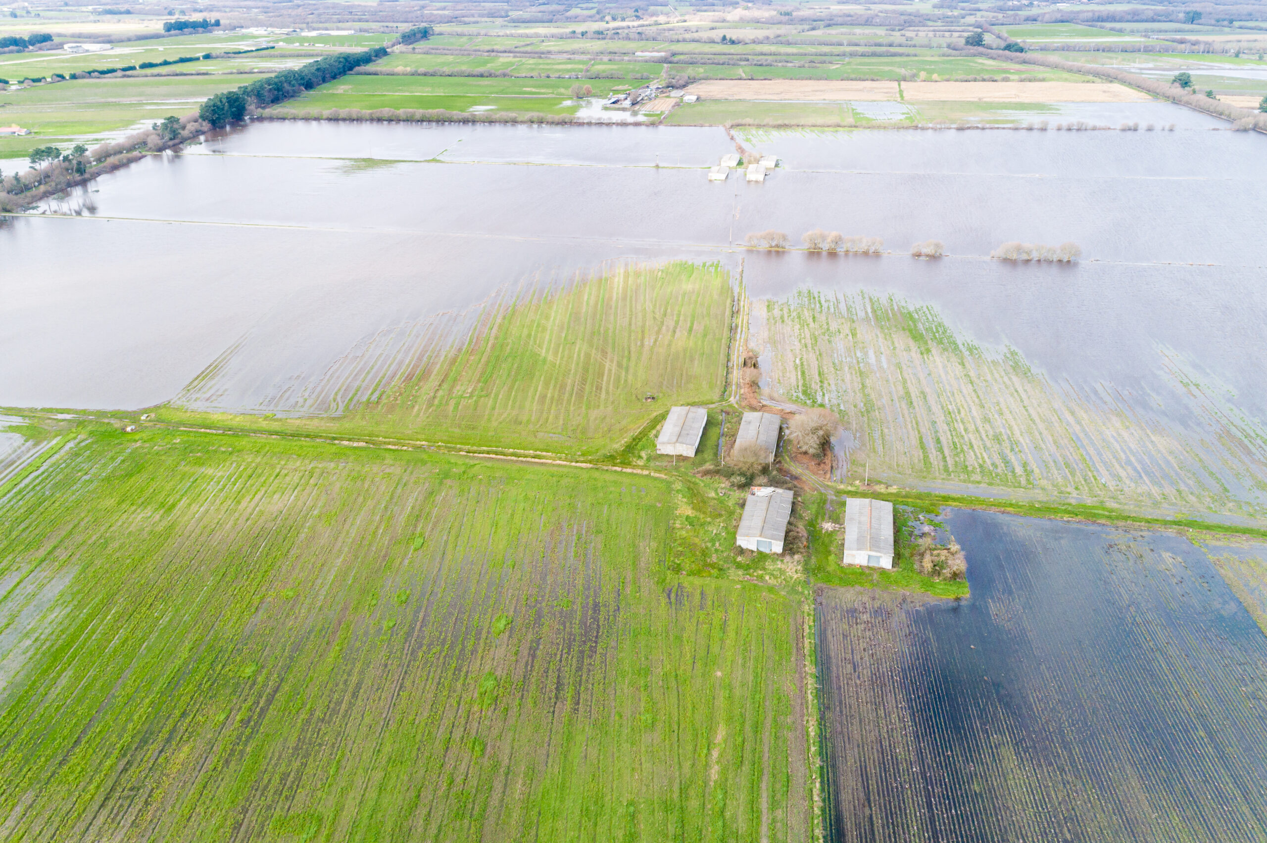 Aerial view of Texas ranch with floodplain vegetation near a riverbed